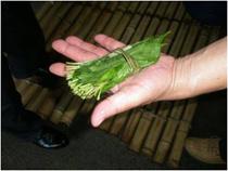 漬け込み始めの束