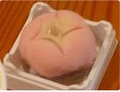 朝顔