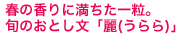 旬のおとし文「麗(うらら)」