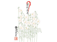 敬老の日の熨斗