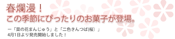 春爛漫！この季節にぴったりのお菓子が登場。