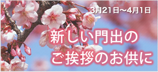 メルマガ会員限定！送料込みの「銀座弥生詰合せ」