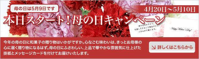 本日スタート！母の日キャンペーン