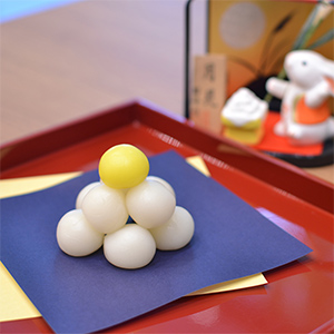 dango24